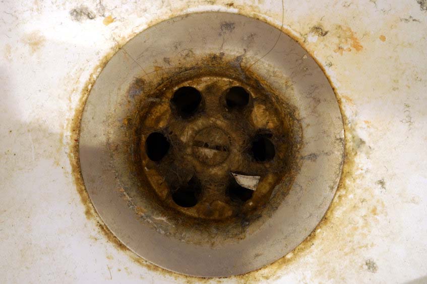 Things to Expect During a Drain Cleaning Service